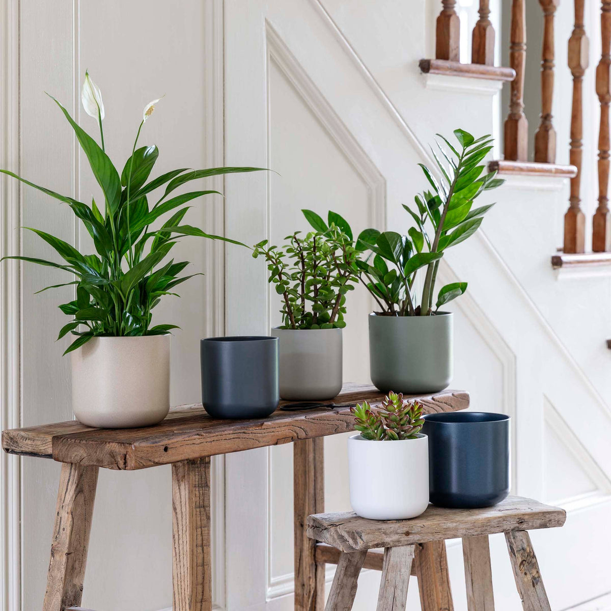 Lisbon Ceramic Indoor Planter H20.5cm D20.5cm: Anthracite
