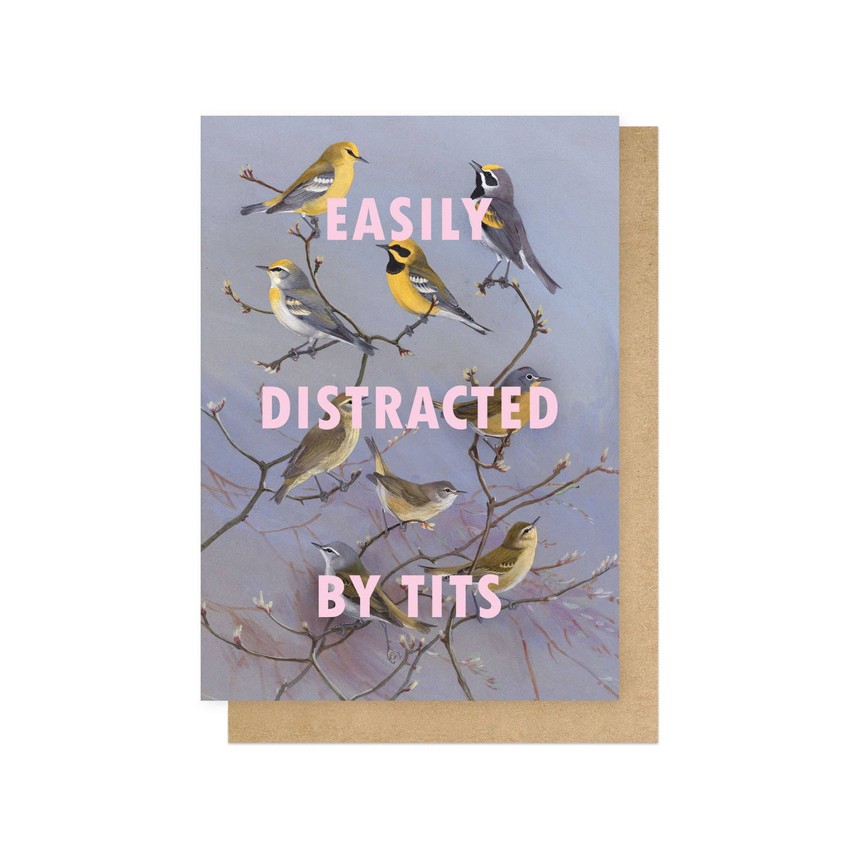 Easily Distracted By Tits Greetings Card Pack of 6: Cello-Free