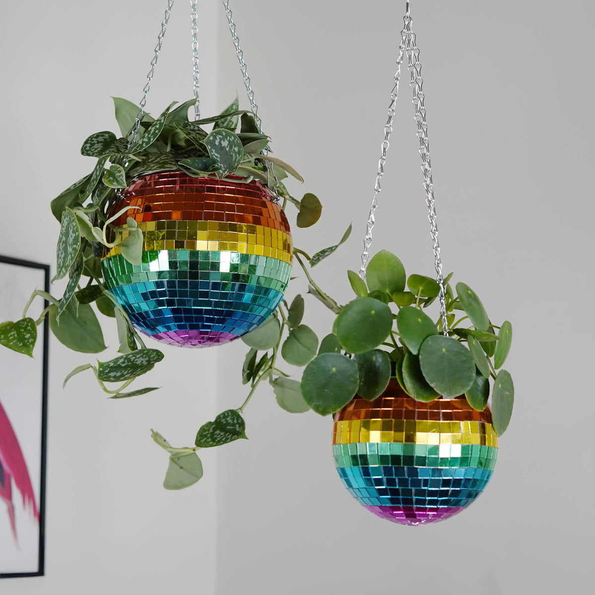 Disco Ball Hanging Planter Rainbow 6-inch | Gift & Home