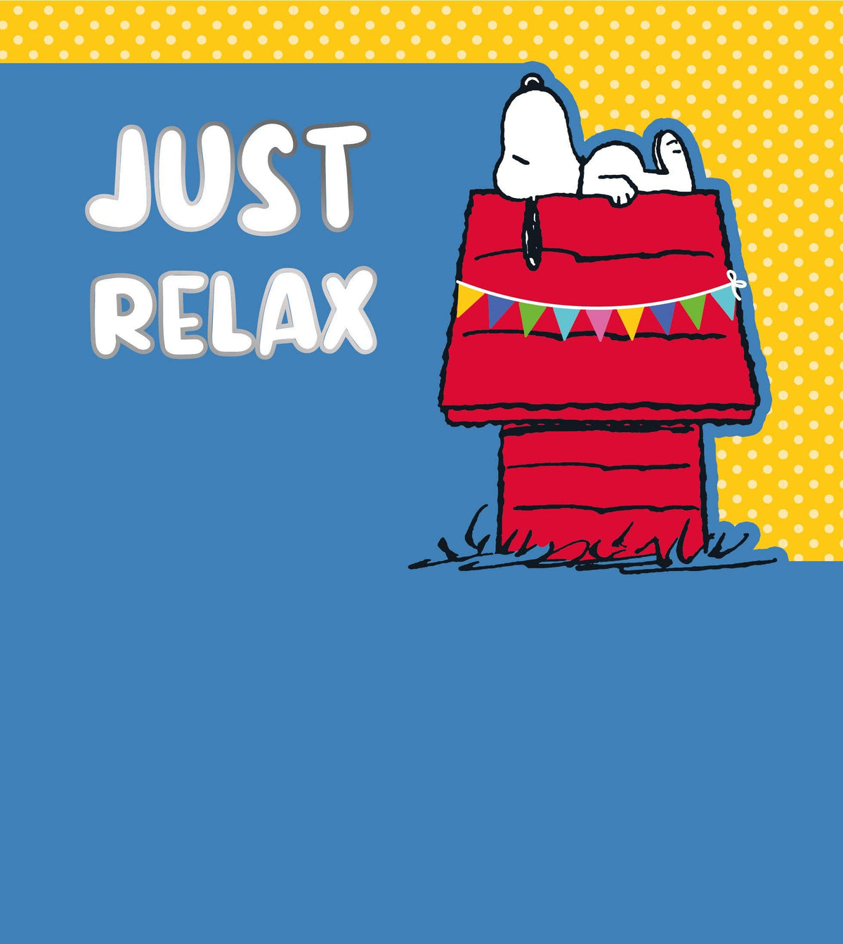 Peanuts Snoopy Birthday Card
