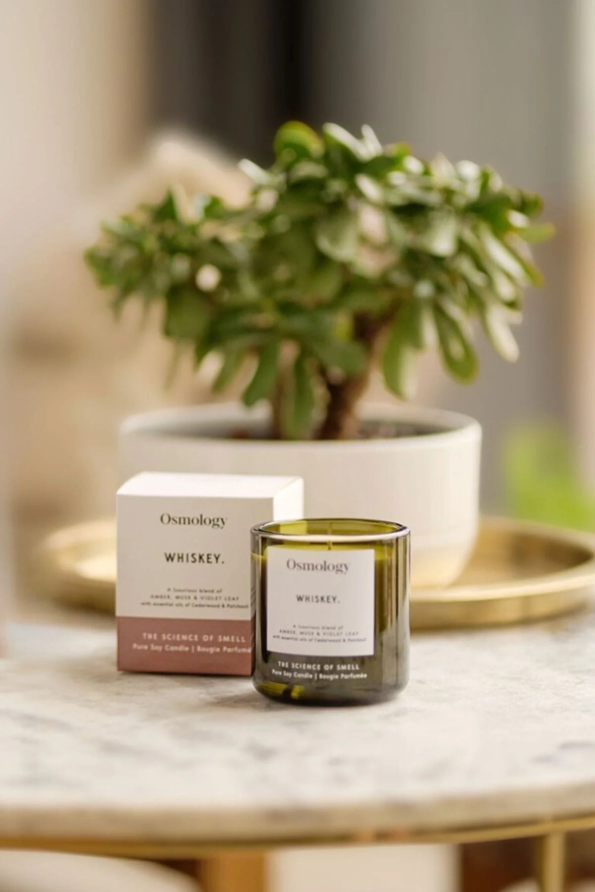 Osmology Whiskey Scented Candle
