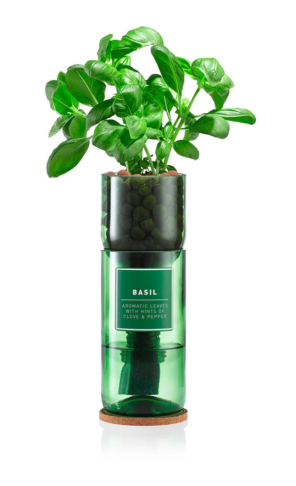 Hydro-Herb Basil
