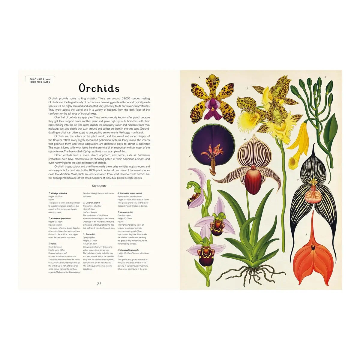 Botanicum Book