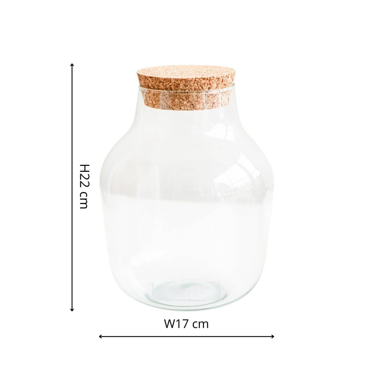 Angular Glass Small Terrarium DIY Kit H22cm D17cm