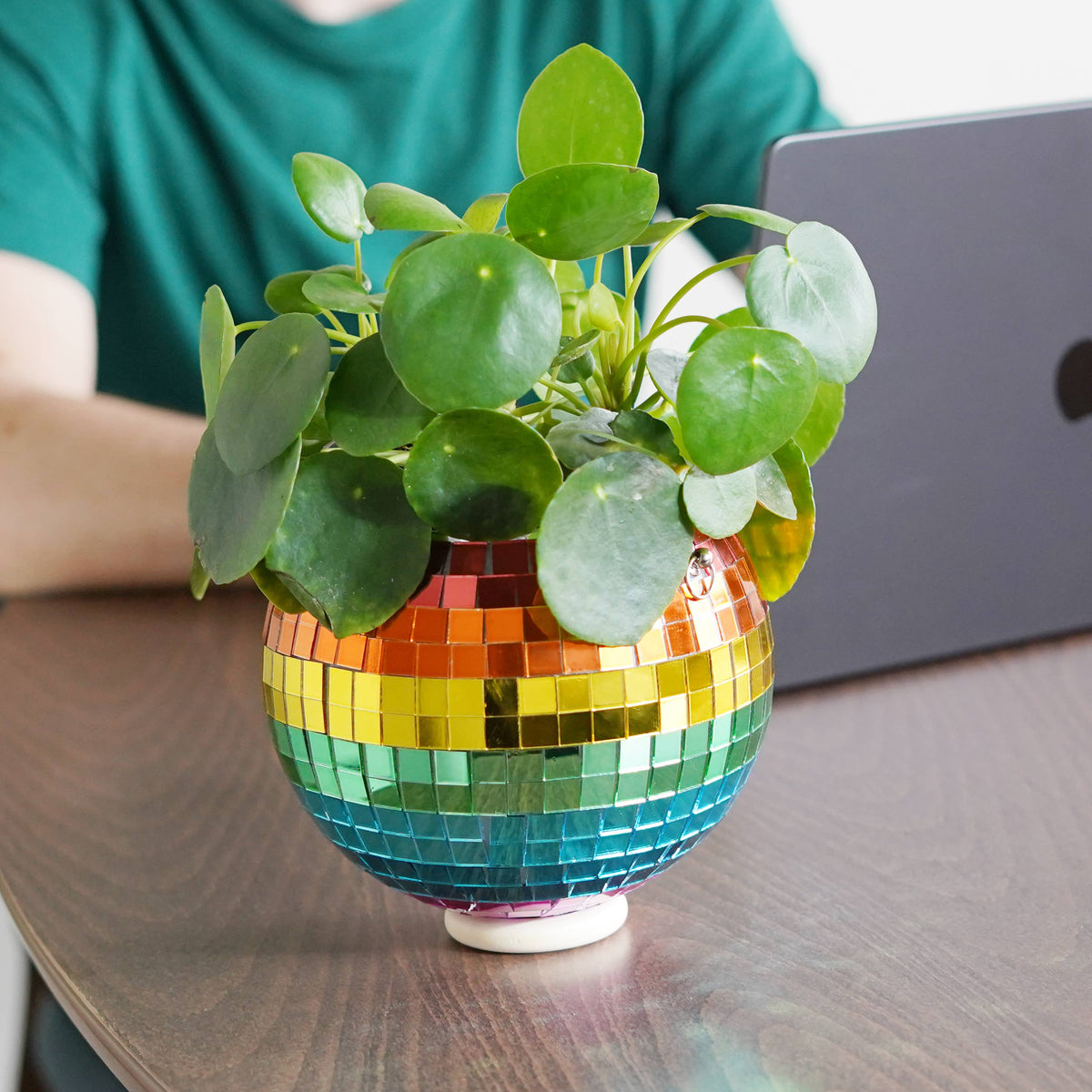 Disco Ball Hanging Planter Rainbow 6-inch | Gift & Home