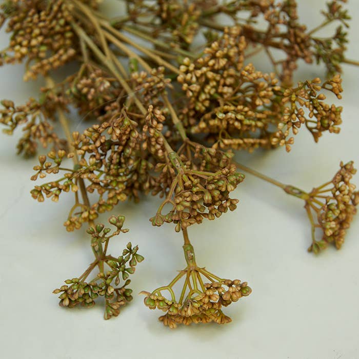 Abigail Ahern - Meadow Sedge Natural - Artificial Flower