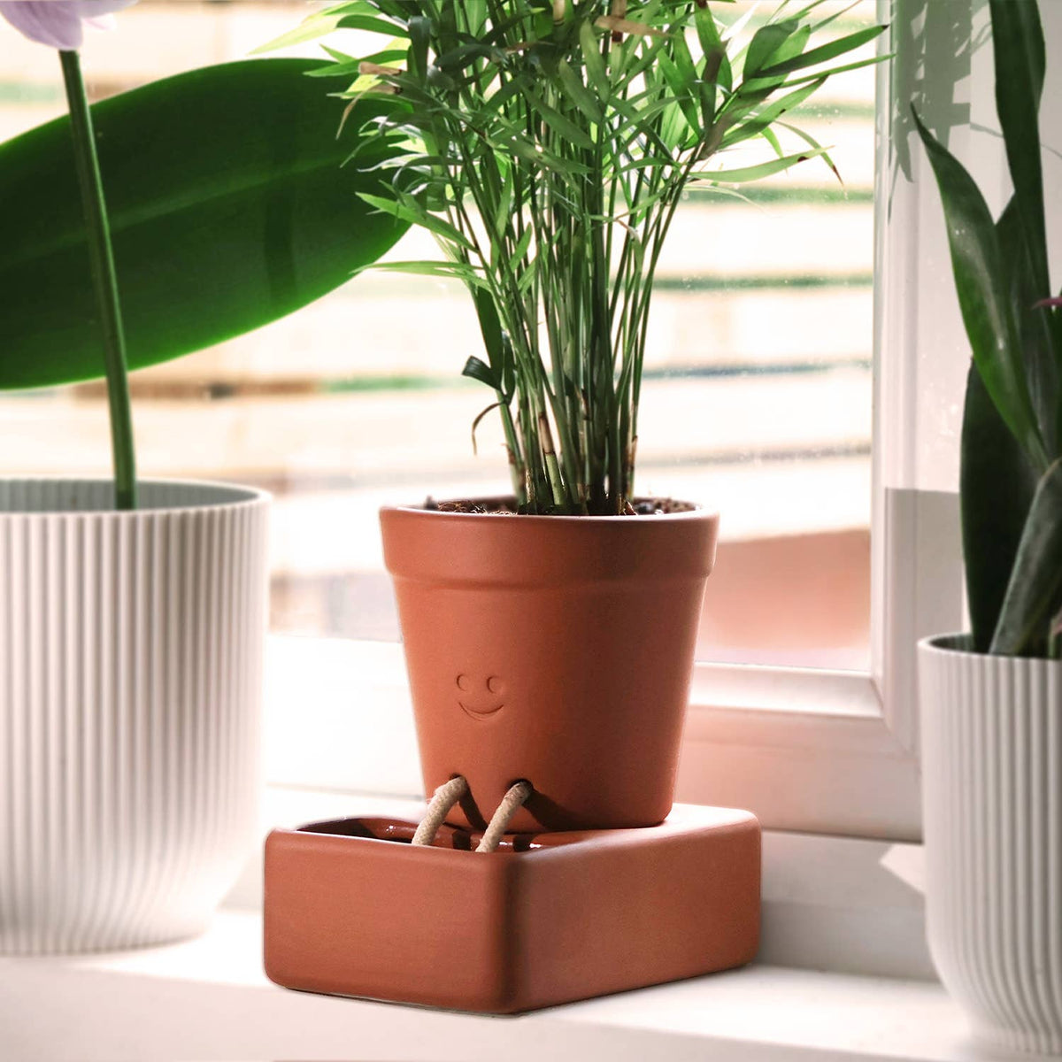 Self Care Planter | Self Watering Plant Pot | Home Accents