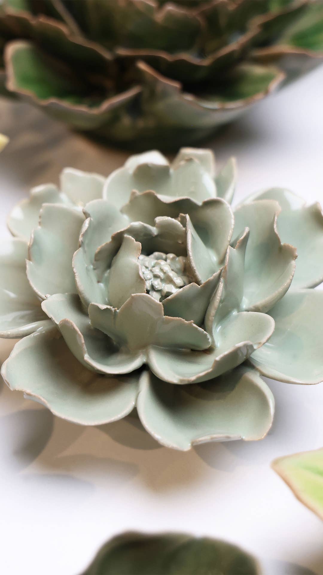 English Garden, Pistachio Green Rose - EG09