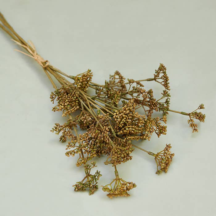 Abigail Ahern - Meadow Sedge Natural - Artificial Flower