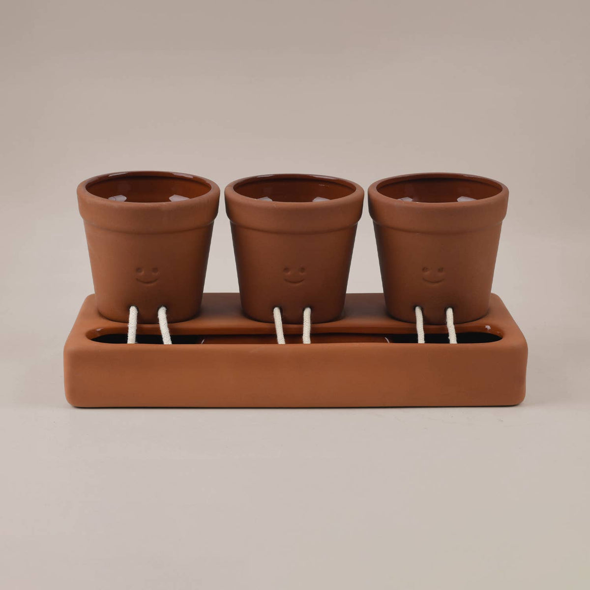 Trio Self Care Planter| Self Watering Plant Pot | Home Decor