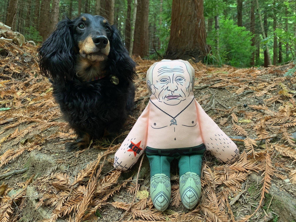 Vladimir Putin dog toy: Small Dog Toy