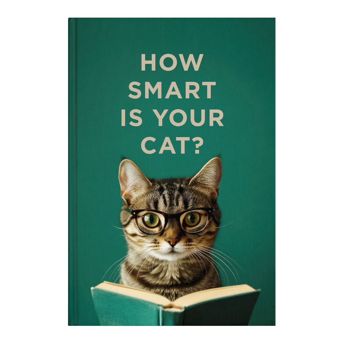 How Smart is Your Cat? Fun Insights for Every Cat Owner!
