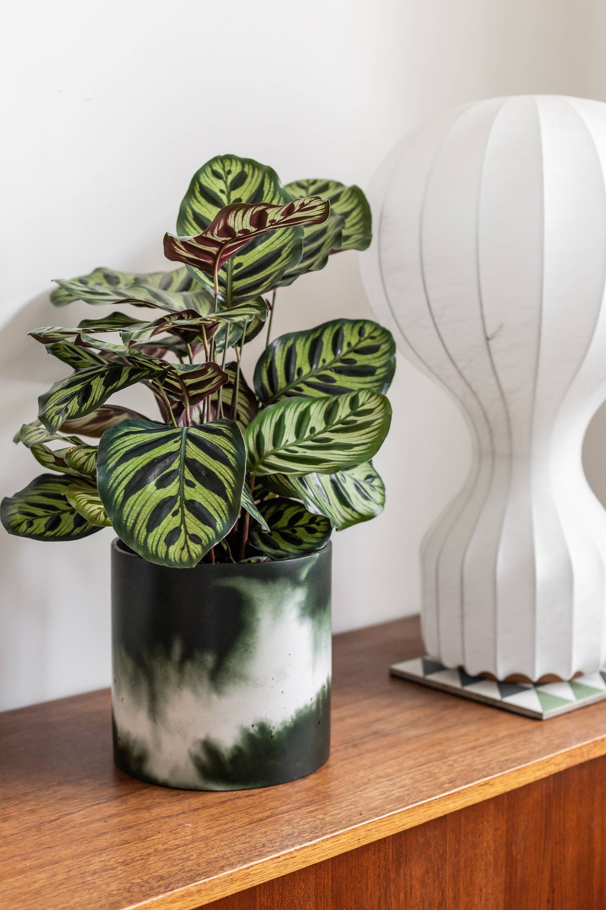 Hand-cast indoor plant pot | Muddy Green &amp; Off-White: Large
