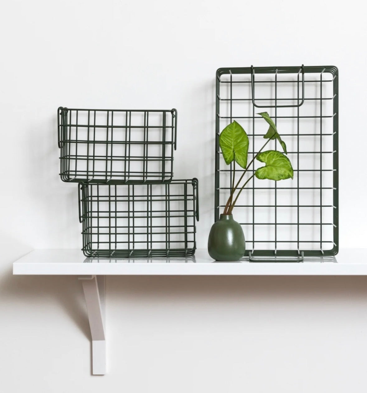 LThe Baskets - In Olive