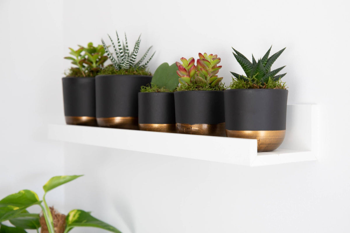 Indoor Metallic Dipped Pot/ Planter: Small / Pink And Copper