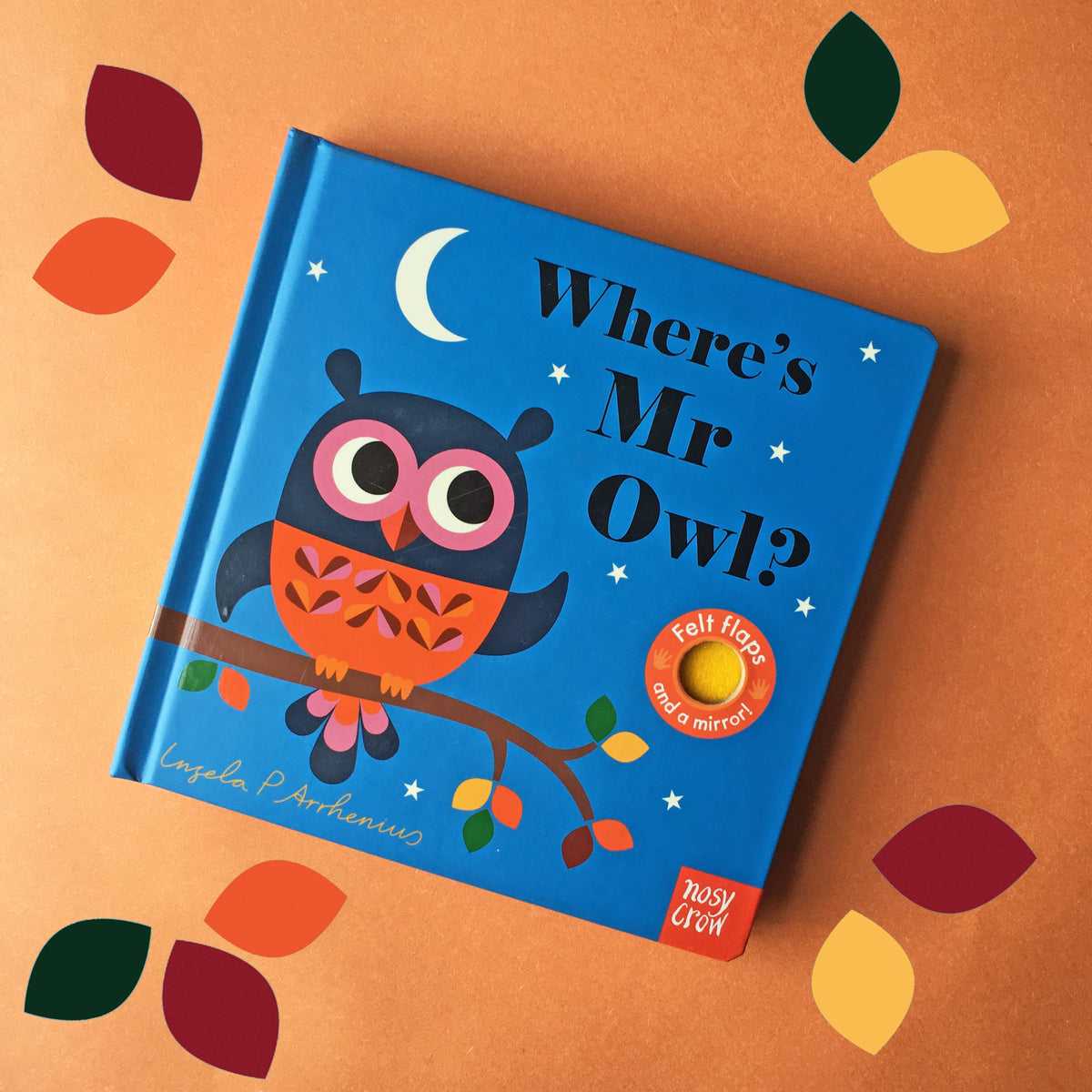 Felt Flaps: Where's Mr Owl?