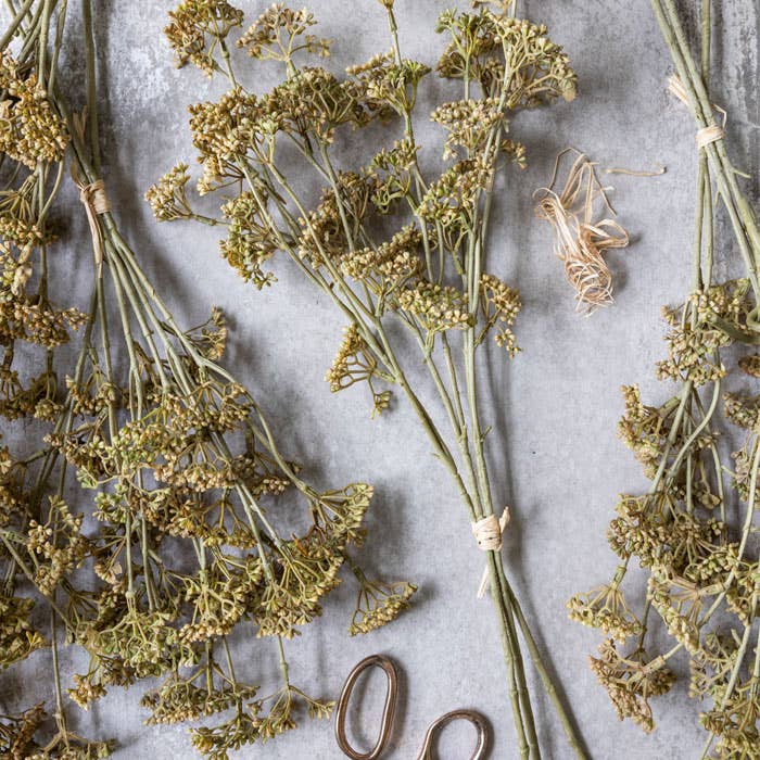 Abigail Ahern - Meadow Sedge Natural - Artificial Flower