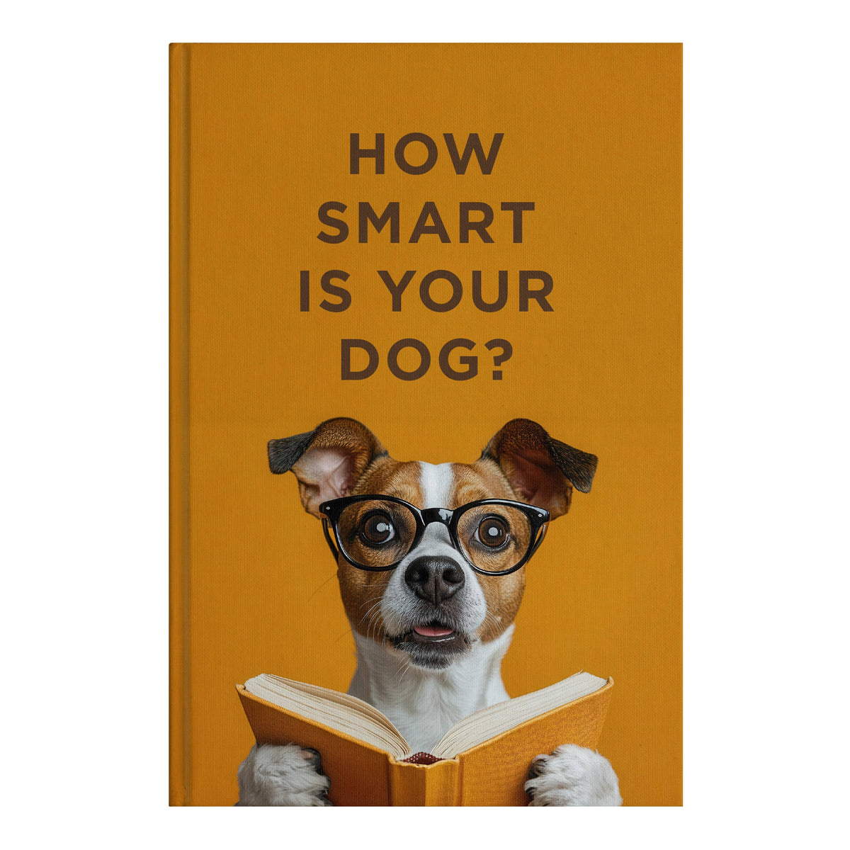 How Smart is Your Dog? Fun Insights for Every Dog Owner!