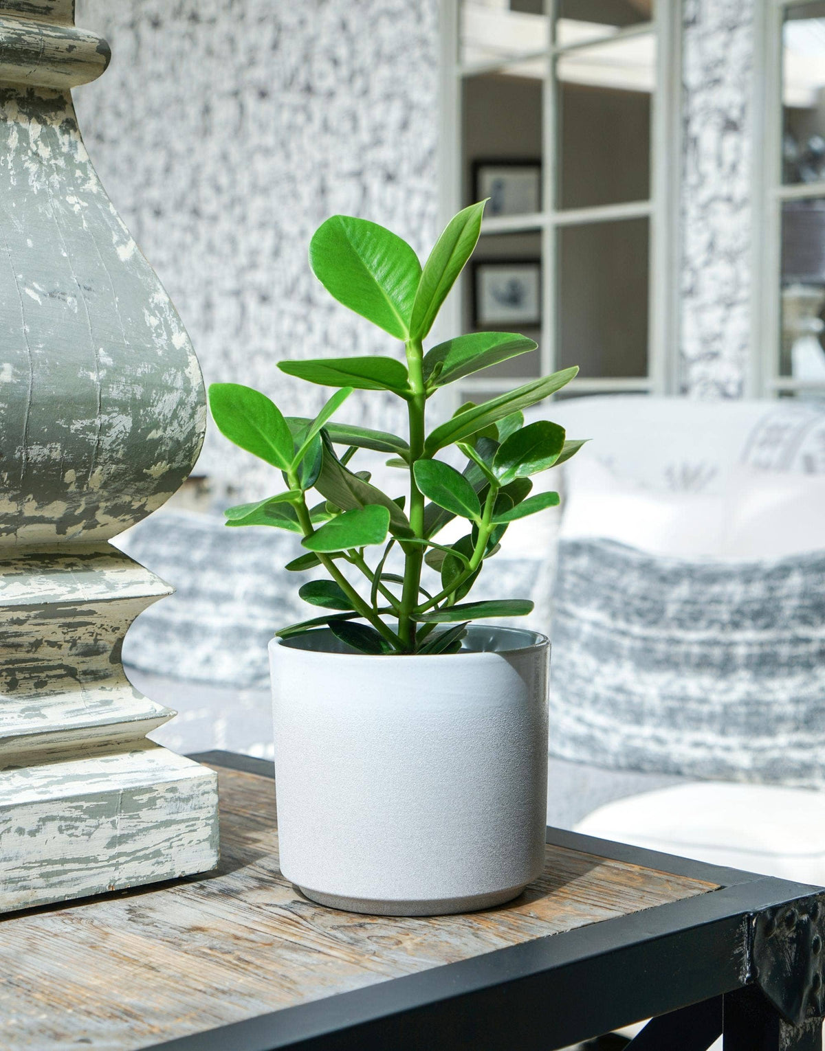 Leon Premium Glaze, Ceramic Planter: Granite / Small