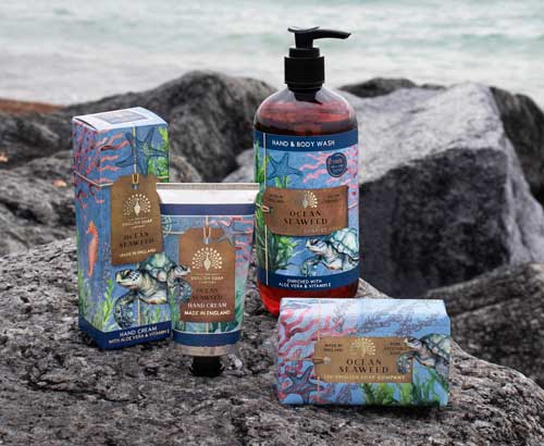 Anniversary Ocean Seaweed Hand and Body Wash