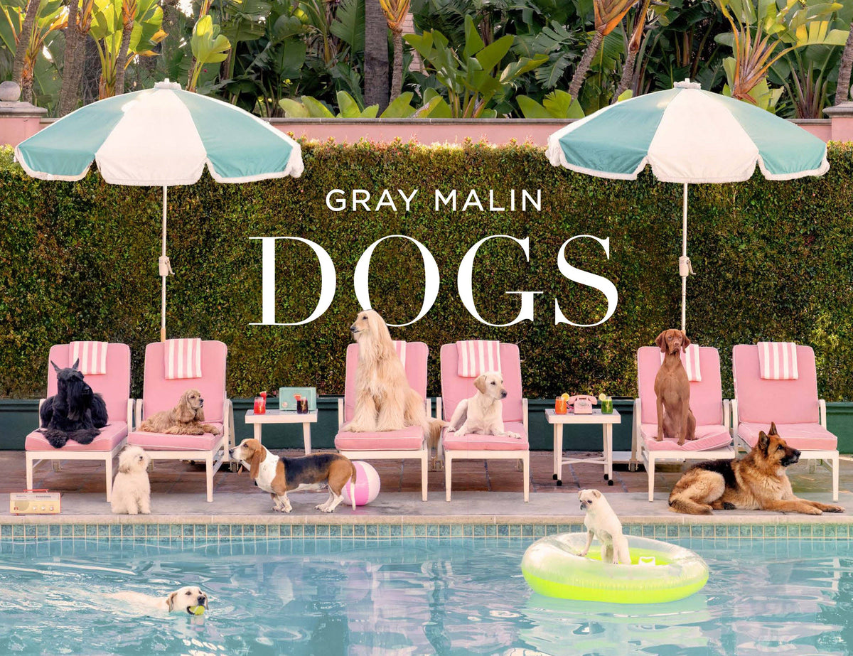Gray Malin: Dogs - Photographs (Hardback)