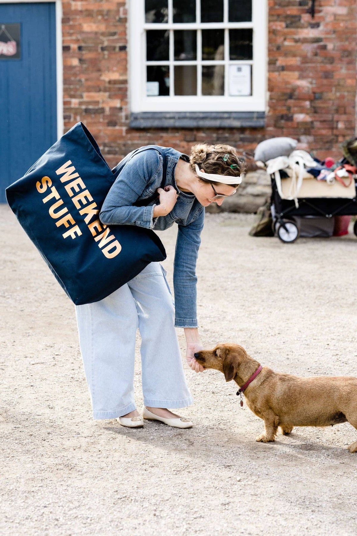 EXTRA LARGE NAVY TOTE BAG WITH BRONZE PRINT: DOG STUFF