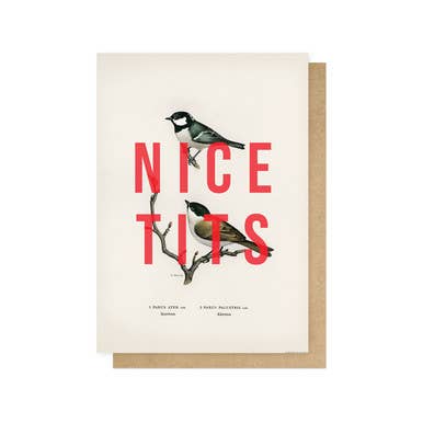 Nice Tits Greetings Card: Cello-Free