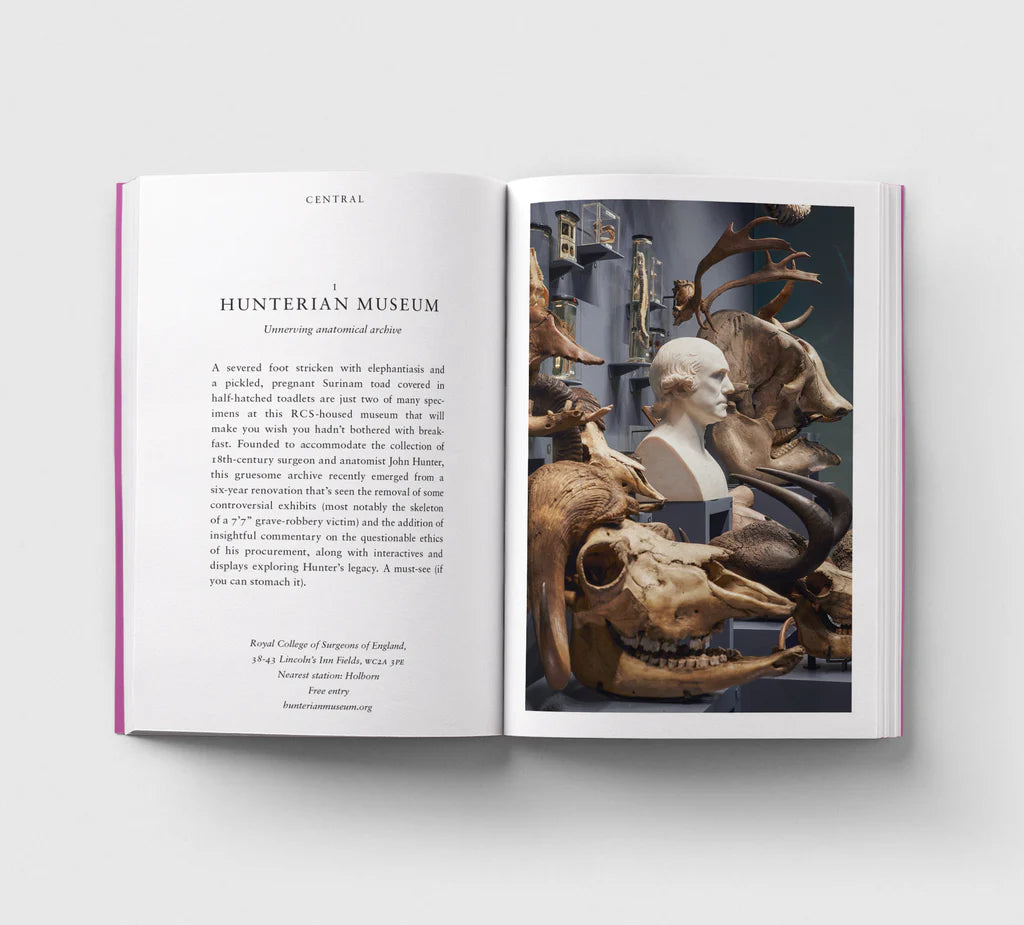 Opinionated Guide to London Museums