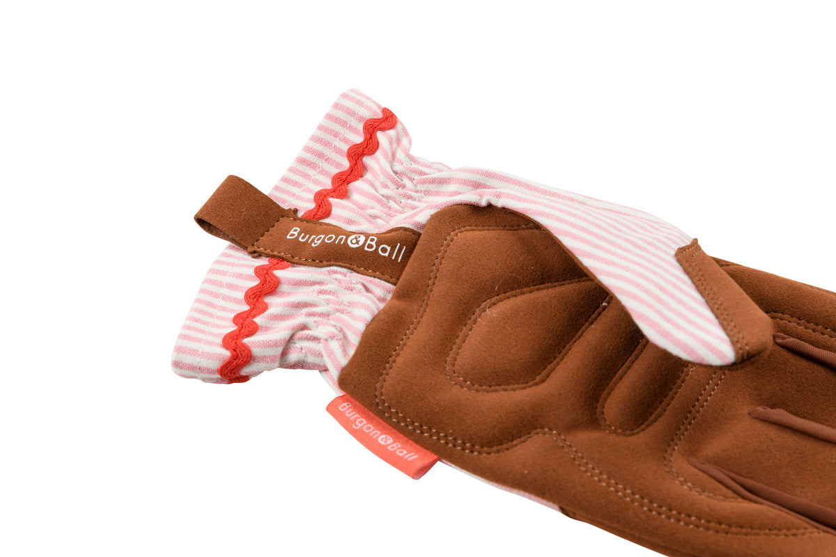 Colour Collection Gloves - Blush Stripe
