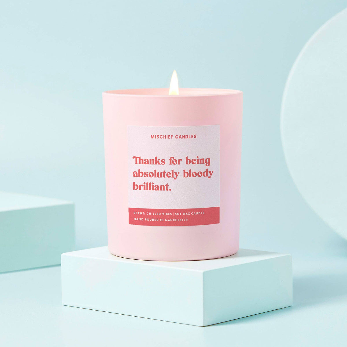Thank You Gift Funny Candle Absolutely Bloody Brilliant
