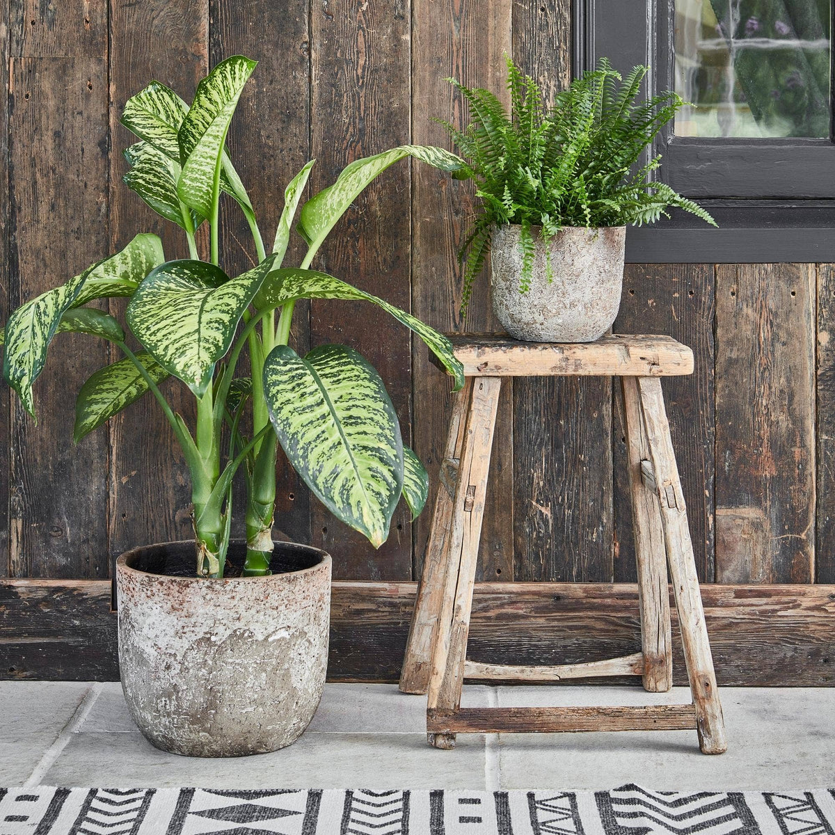 Albero Ceramic Indoor Planter H14cm x D16cm