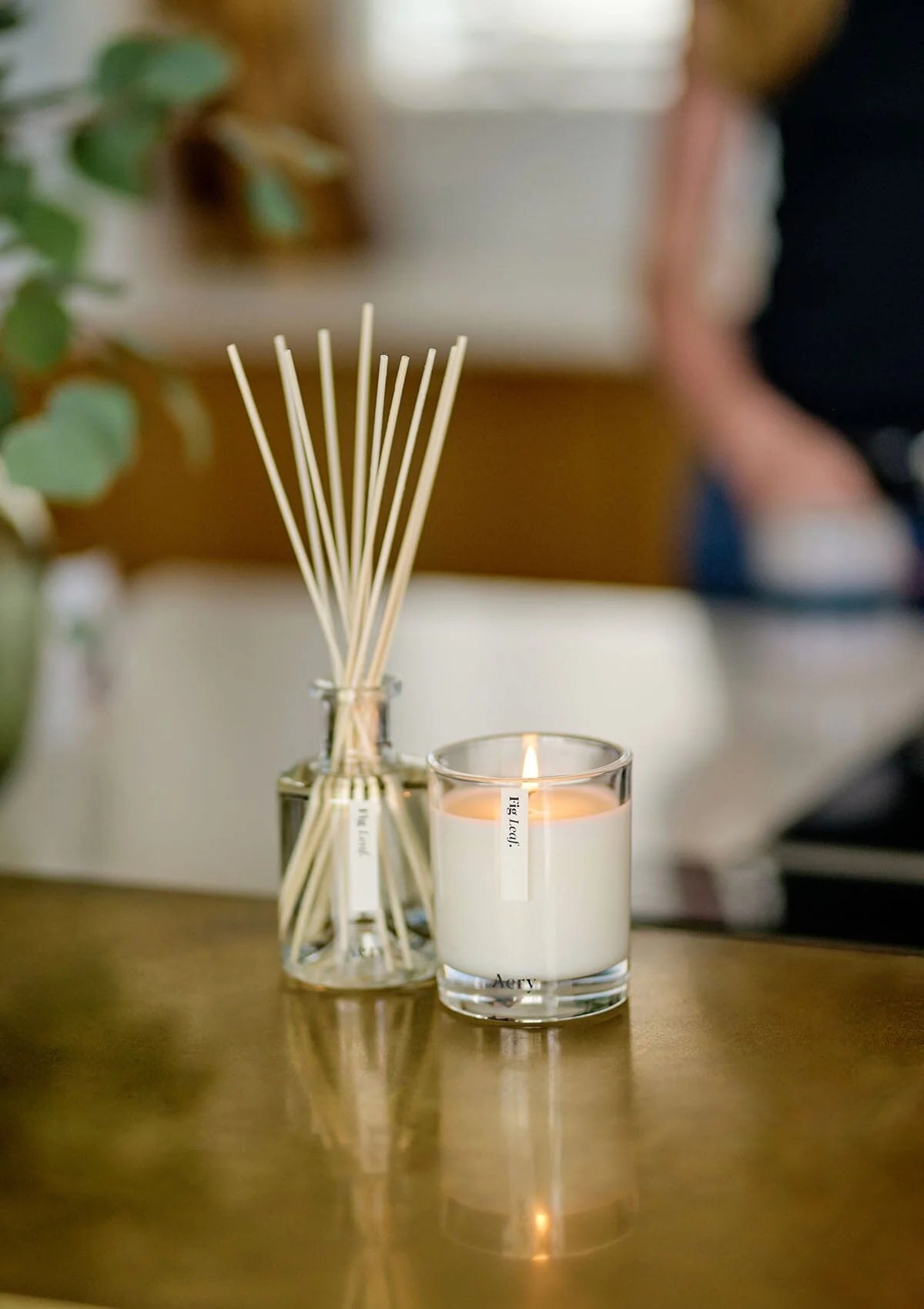 Botanical Fig Leaf Reed Diffuser