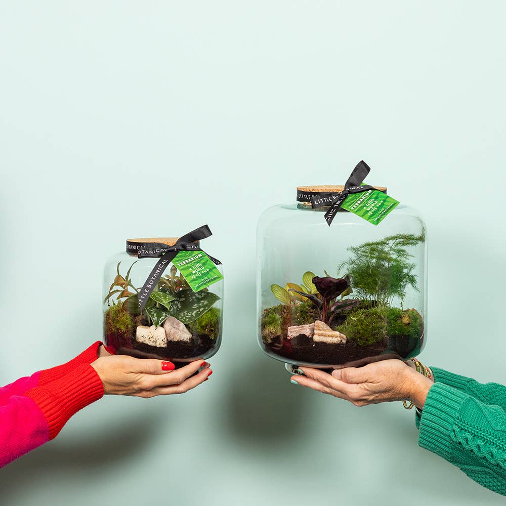 Round Glass Terrarium - Pre-Planted &amp; Easy Care