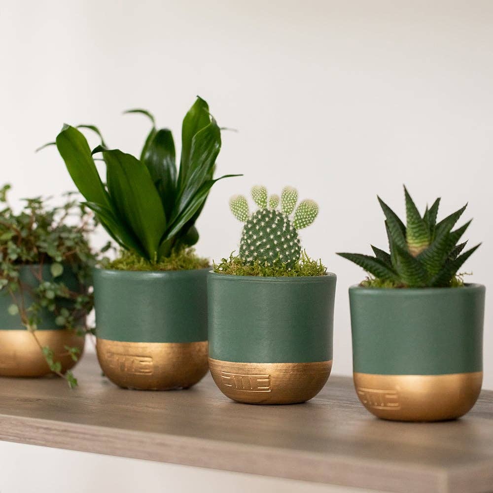Indoor Metallic Dipped Pot/ Planter: Small / Pink And Copper