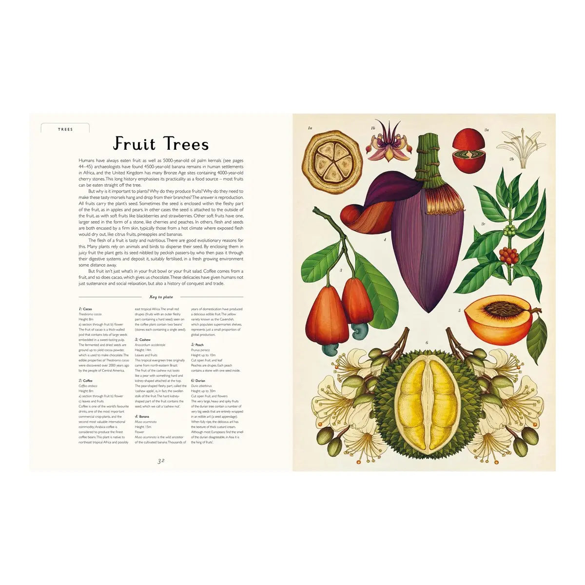 Botanicum Book