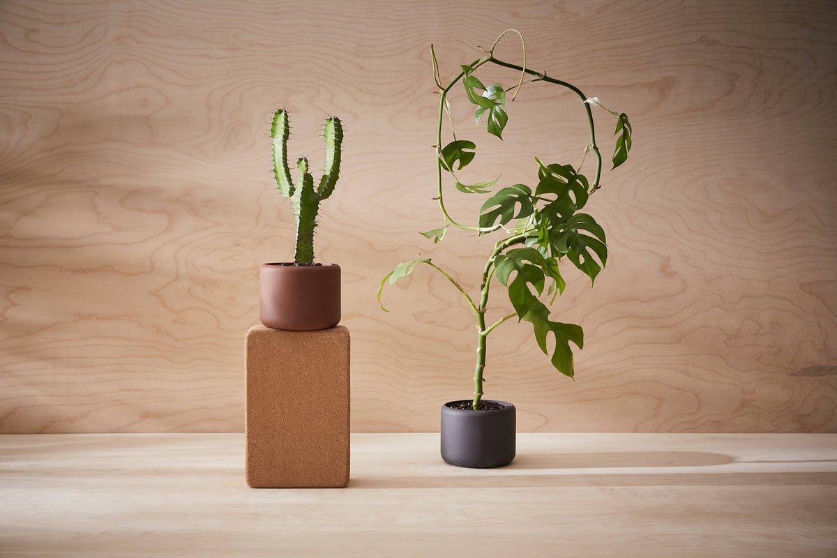 BOTANY porcelain Plant Pot SMALL: Concrete Grey