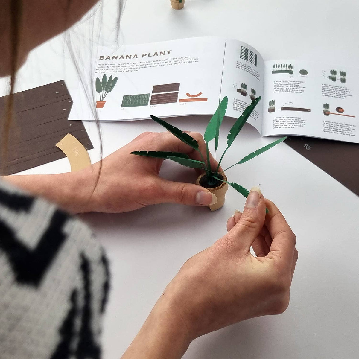 Paper Plants | Cute DIY Origami Kit