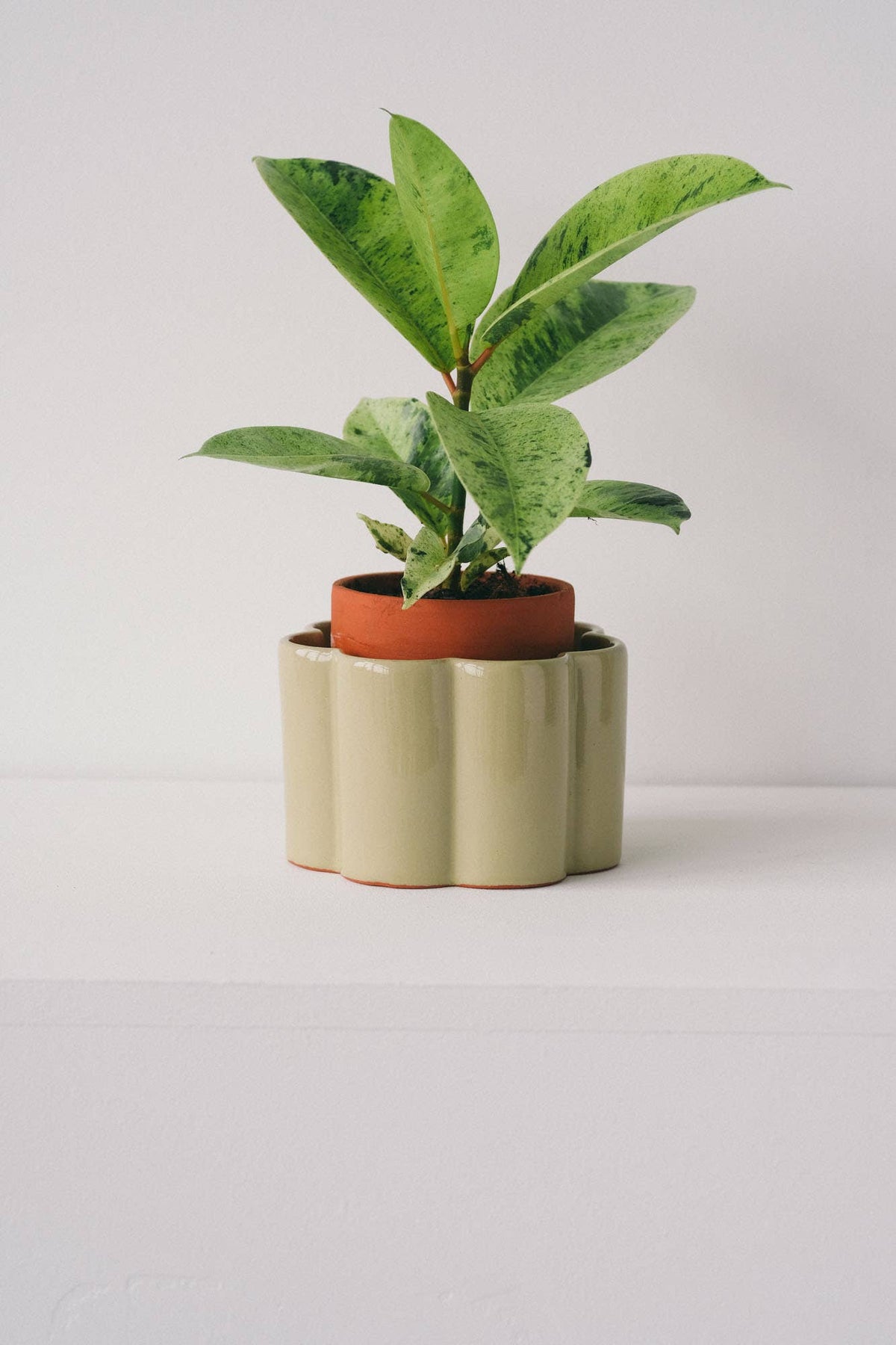 Self-watering pot Paula - Sage green