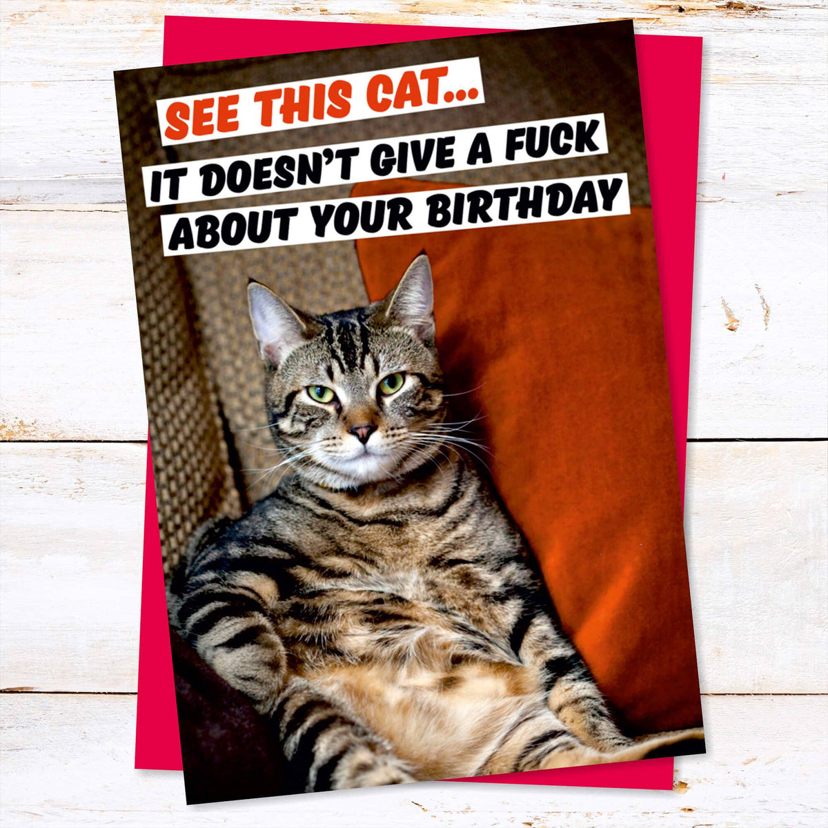 See This Cat. It Doesn&#39;t Give A F*** About Your Greeting Car