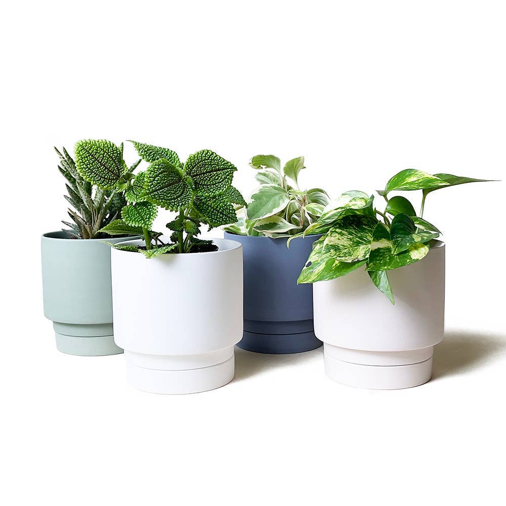 Casey Indoor Ceramic Planter Self Watering Pot: Olive