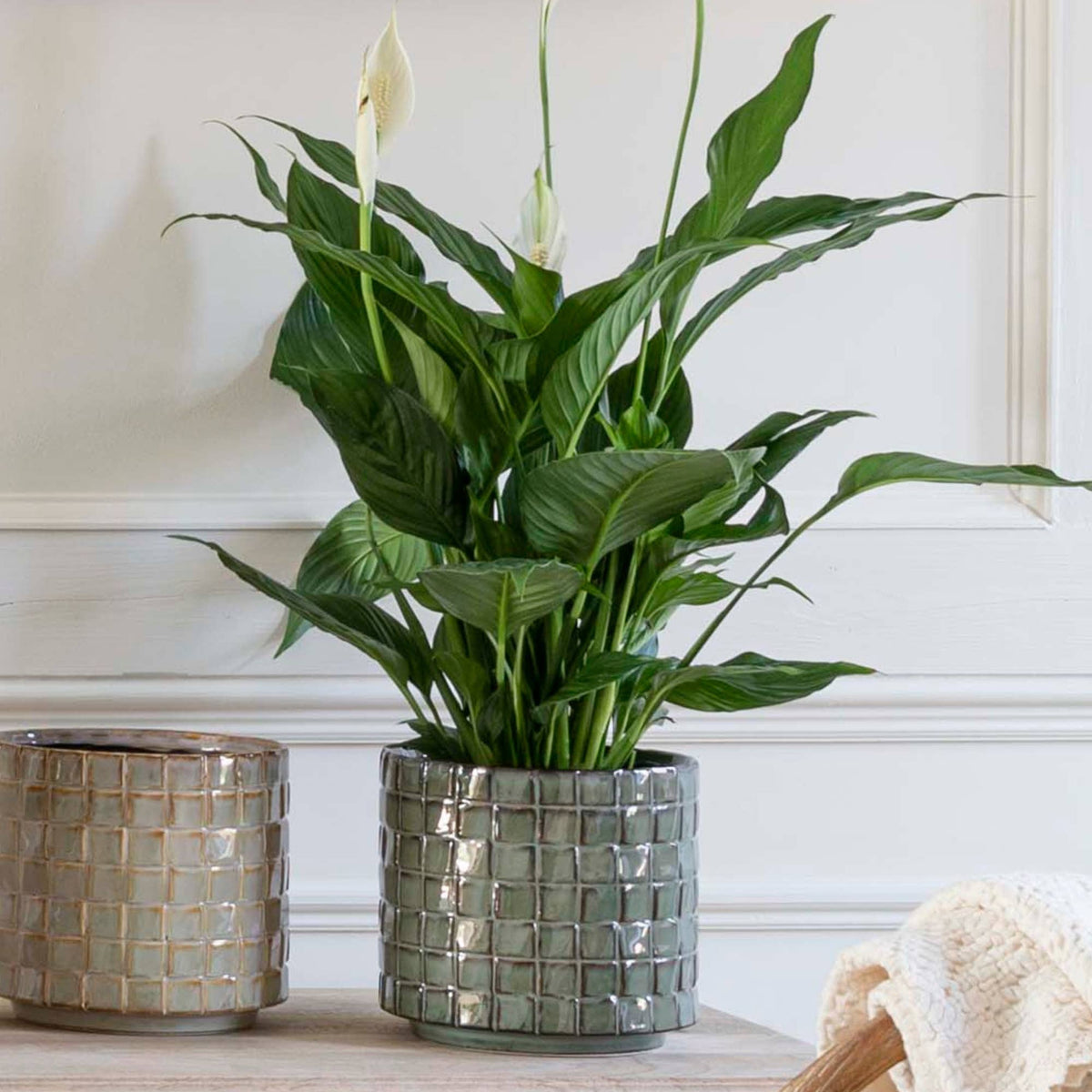 Tarah Textured Glaze Ceramic Indoor Planter H17cm D18cm: Ivory White