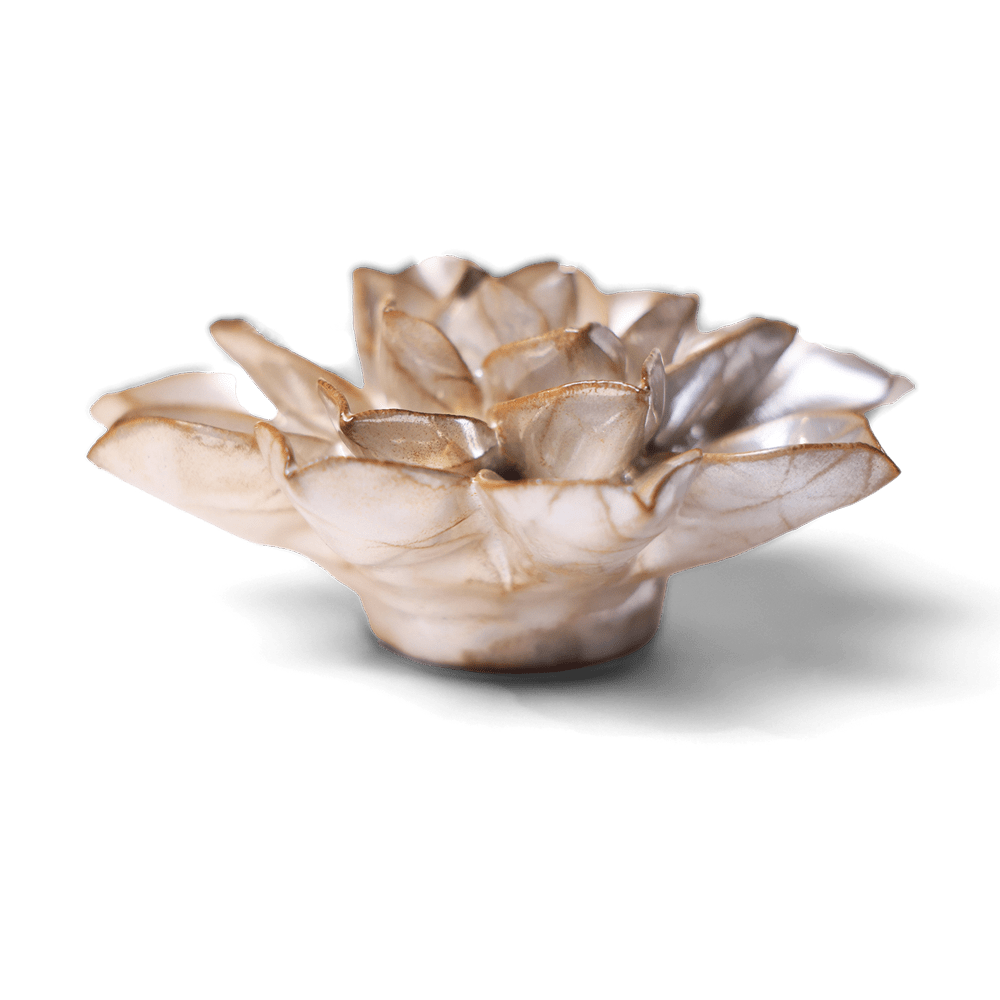 Japan Ceramic Flower Pearl Aster