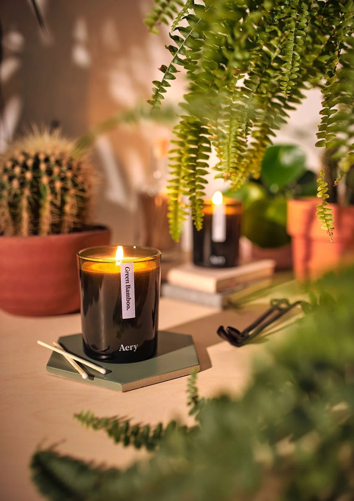 Botanical Green Bamboo Scented Candle