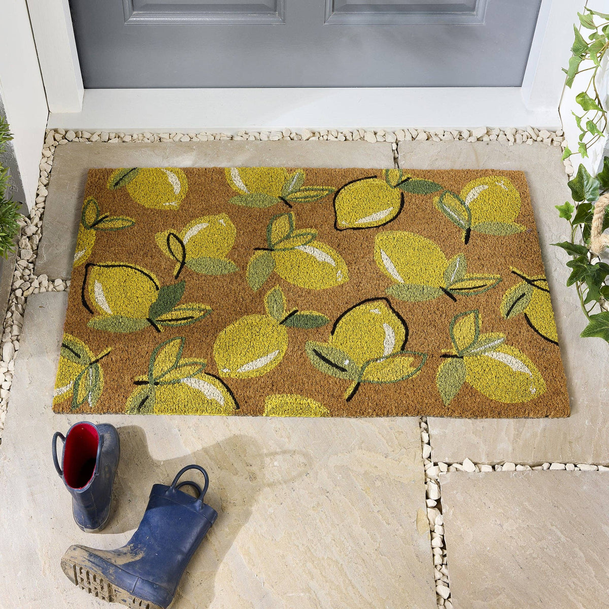 My Mat Printed Coir Lemons Doormat: 45x75