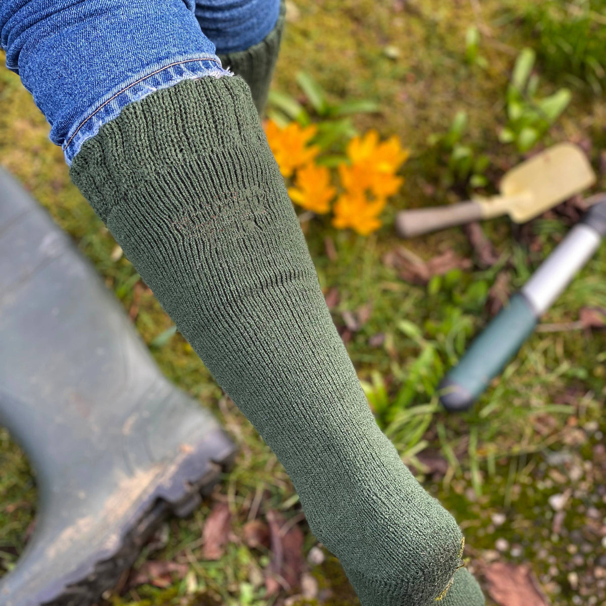 Welly Socks: Women's 4-7