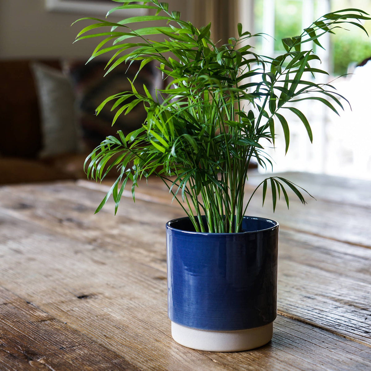 Enos Ceramic Indoor Plant Pot H13.5cm D13cm: White