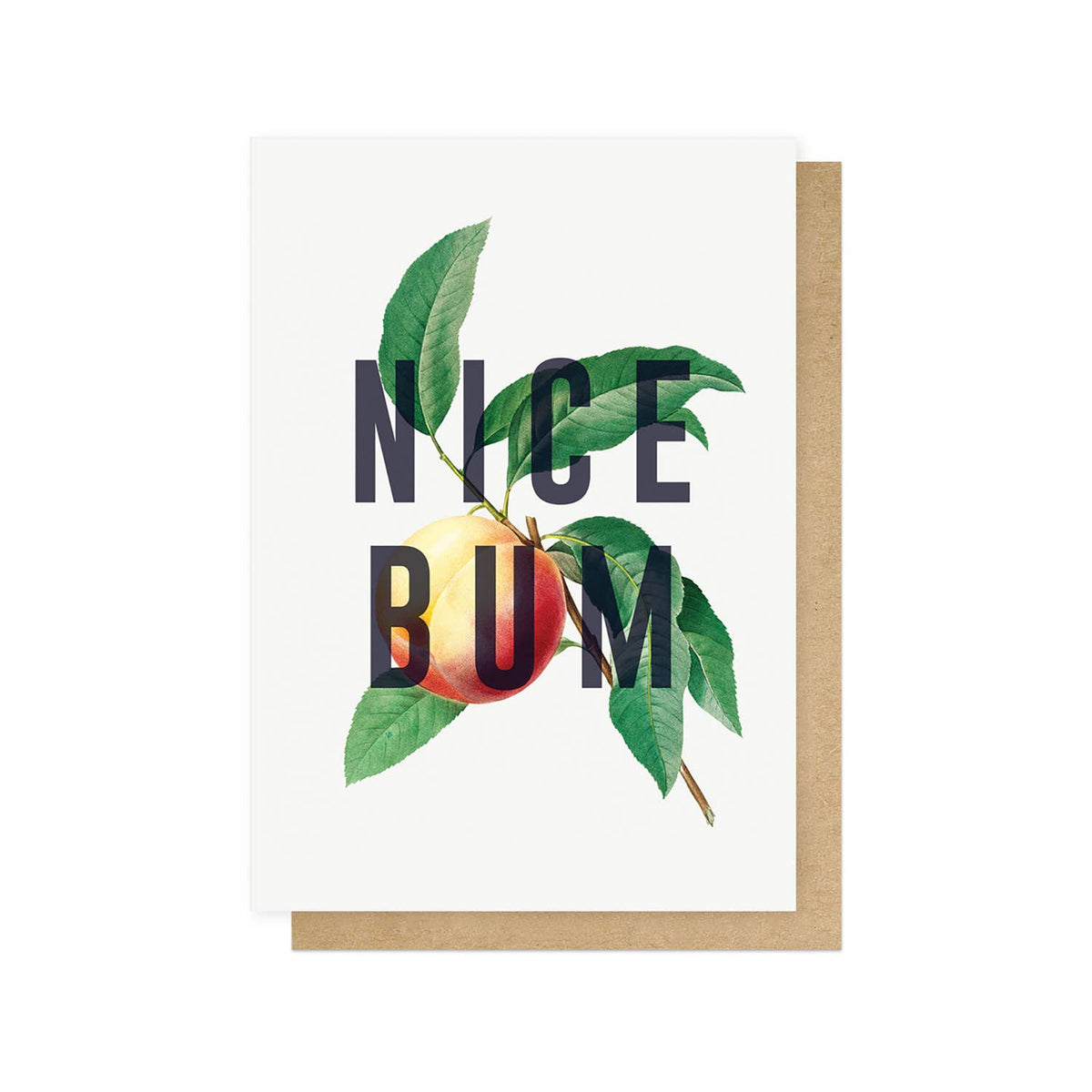 Nice Bum Greetings Card: Cello-Free
