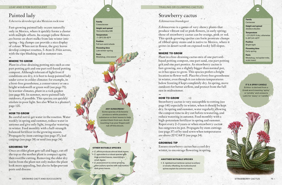 The Kew Gardener's Guide to Growing Cacti and Succulents