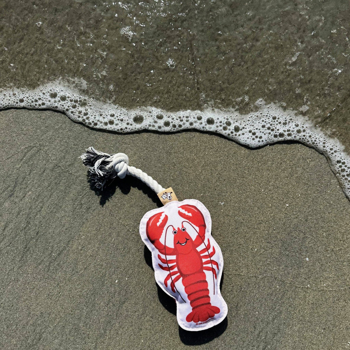 Speckle & Spot Pet Rope Toy - Lobster