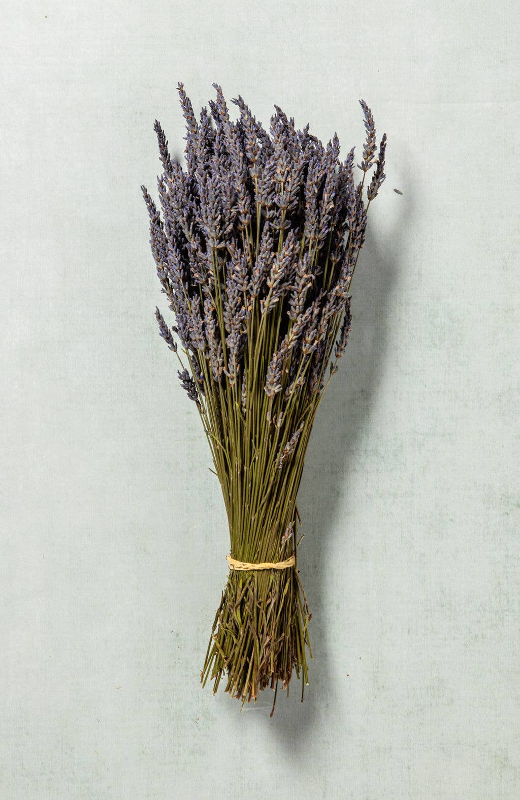 Dried Lavandin Bunches - Dried Flowers